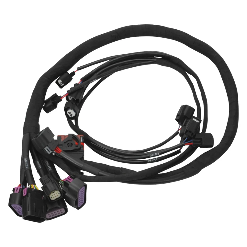 Edelbrock Chevy Gen III/IV LS Pro-Flo 4+ EFI Engine Management System - Image 10